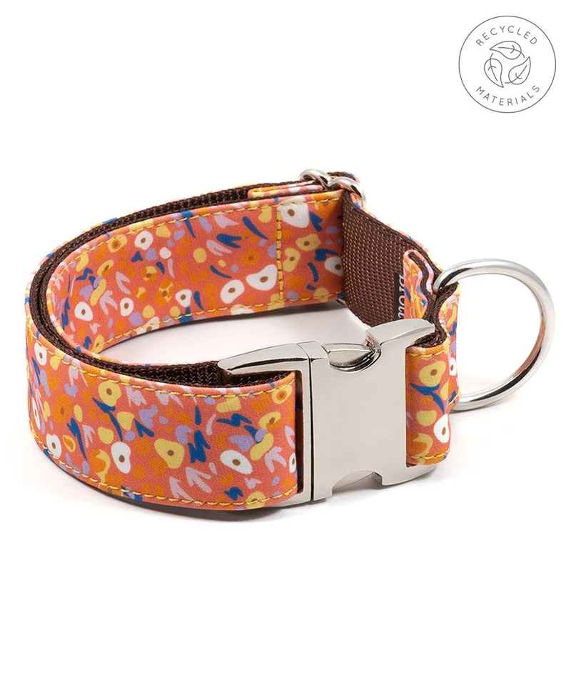 Collar para perro Miravet