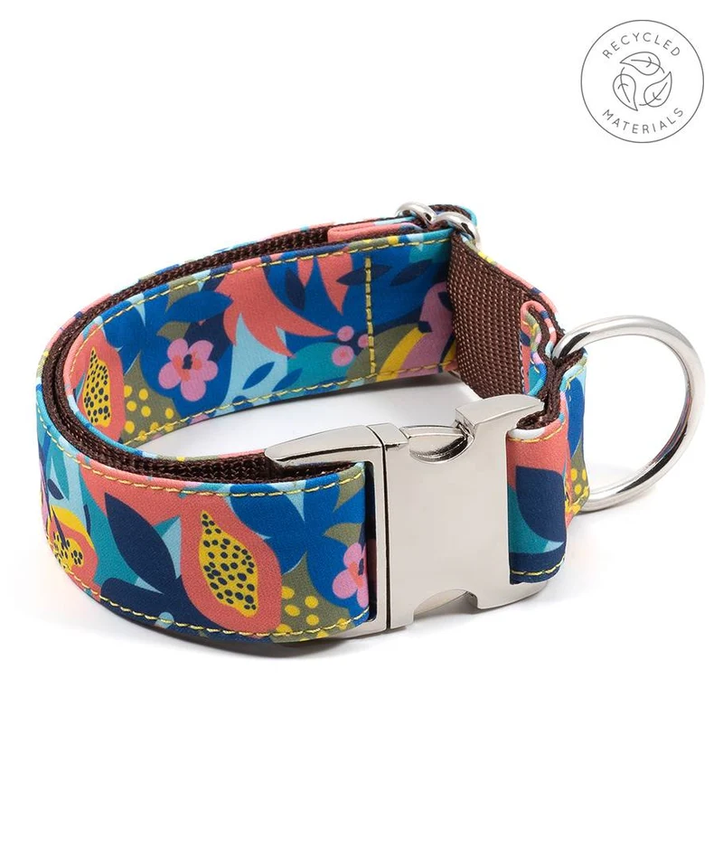 Collar para perro Ciutadella