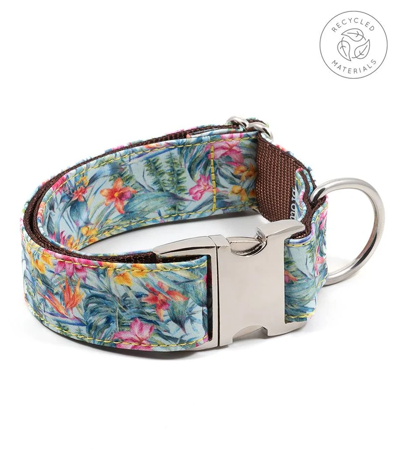 Collar para perro Perelada