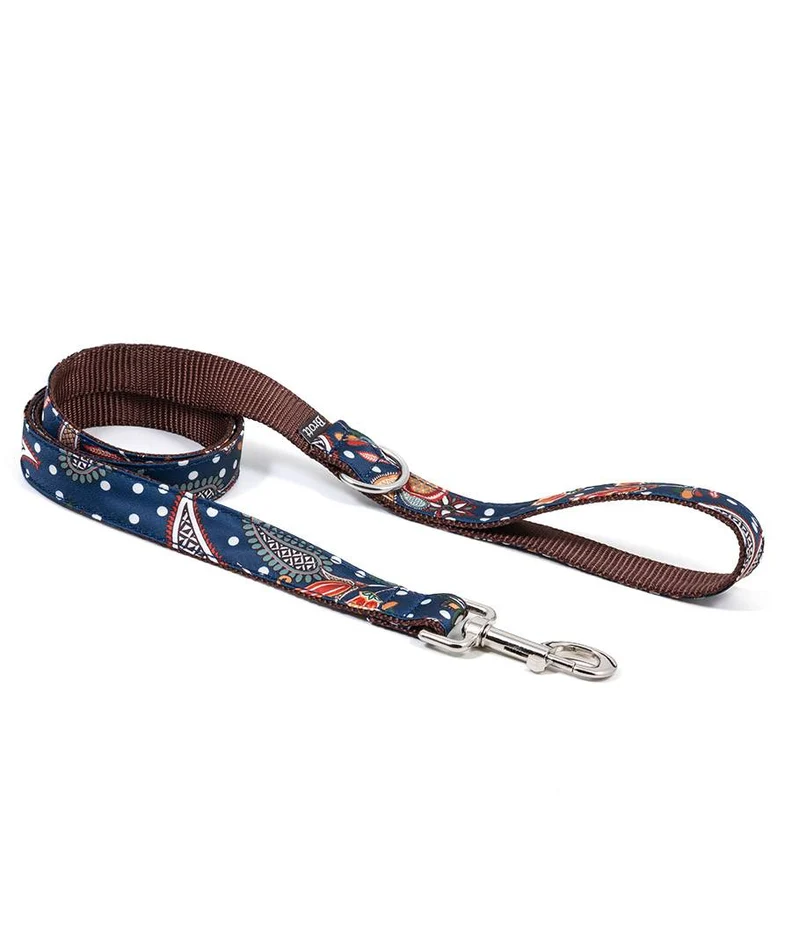 Correa para perro Albi