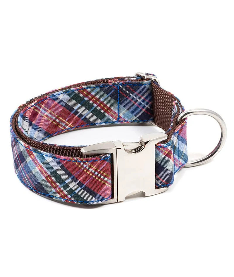 Collar para perro Gosol