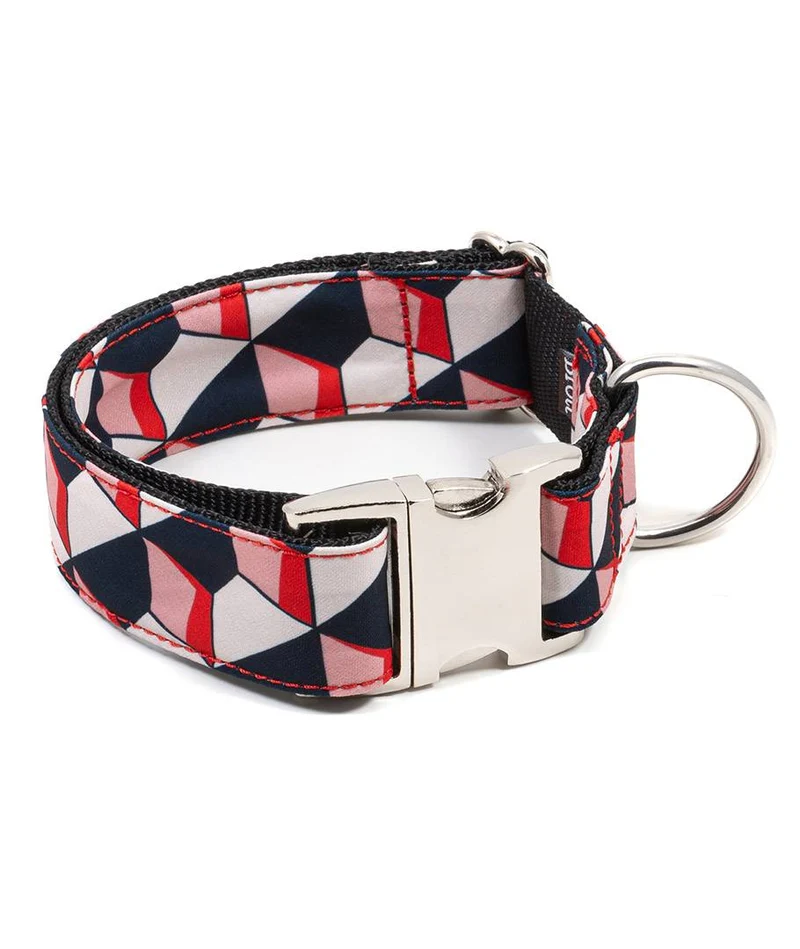 Collar para perro Riells
