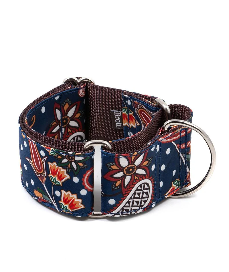 Collar para Galgo Albi