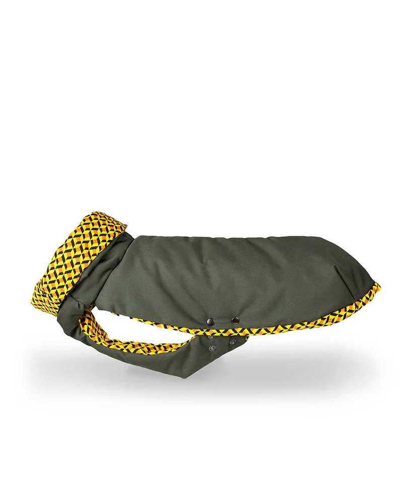 Abrigo de Invierno para Galgo Green & Ur