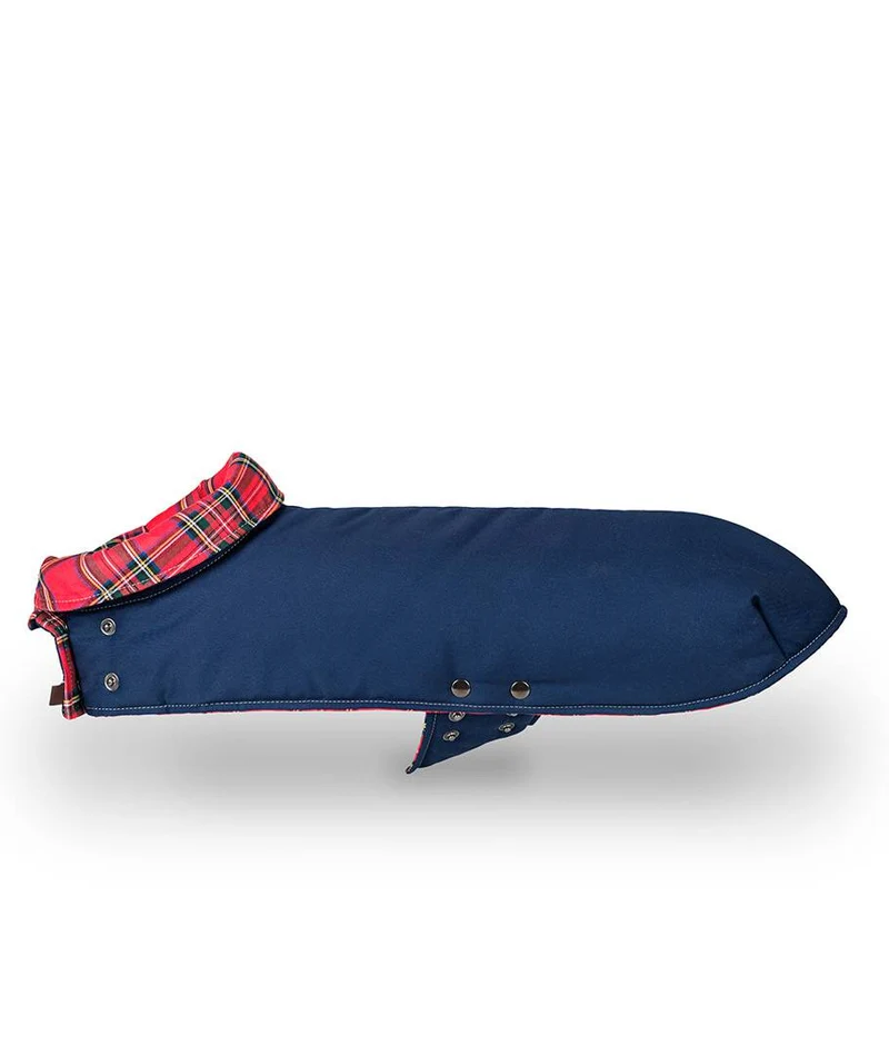 Abrigo para Galgo Blue & Tremp