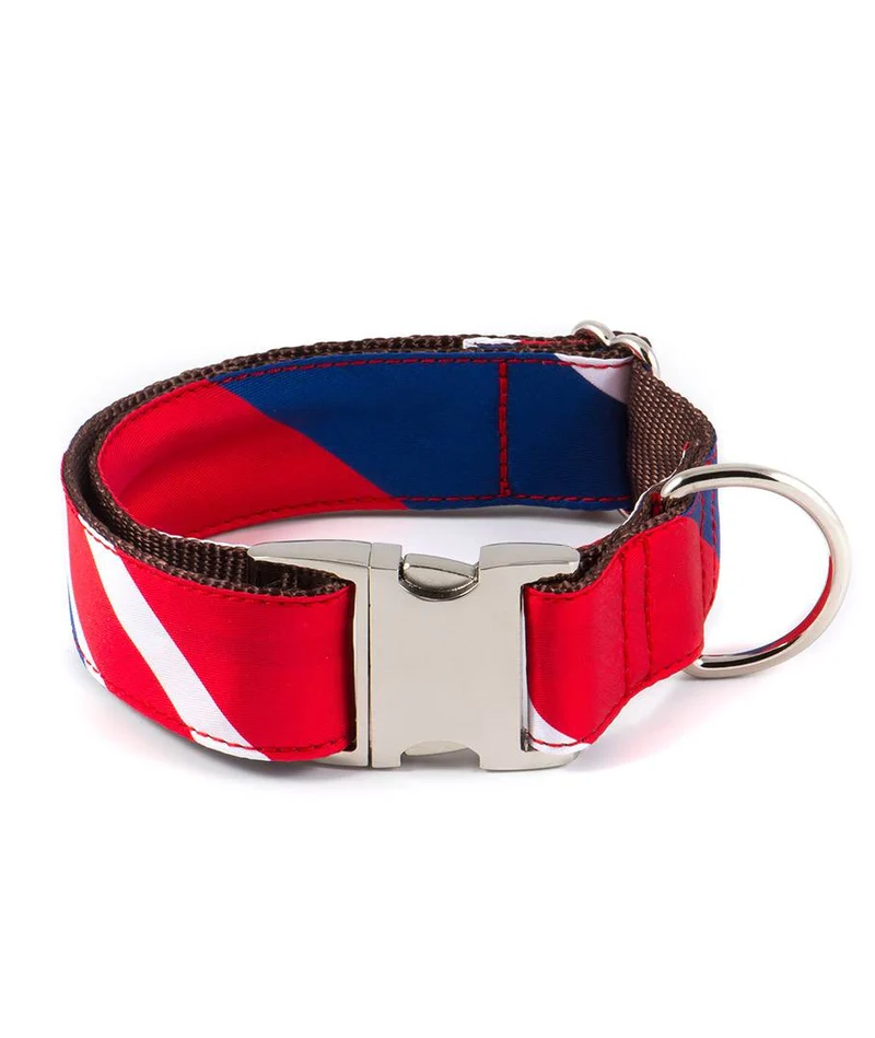 Collar para perro Beleser