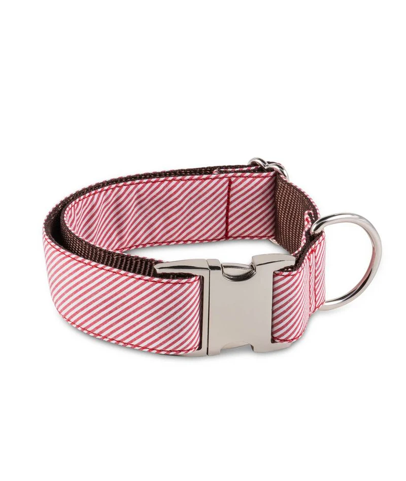 Collar para perro Amposta