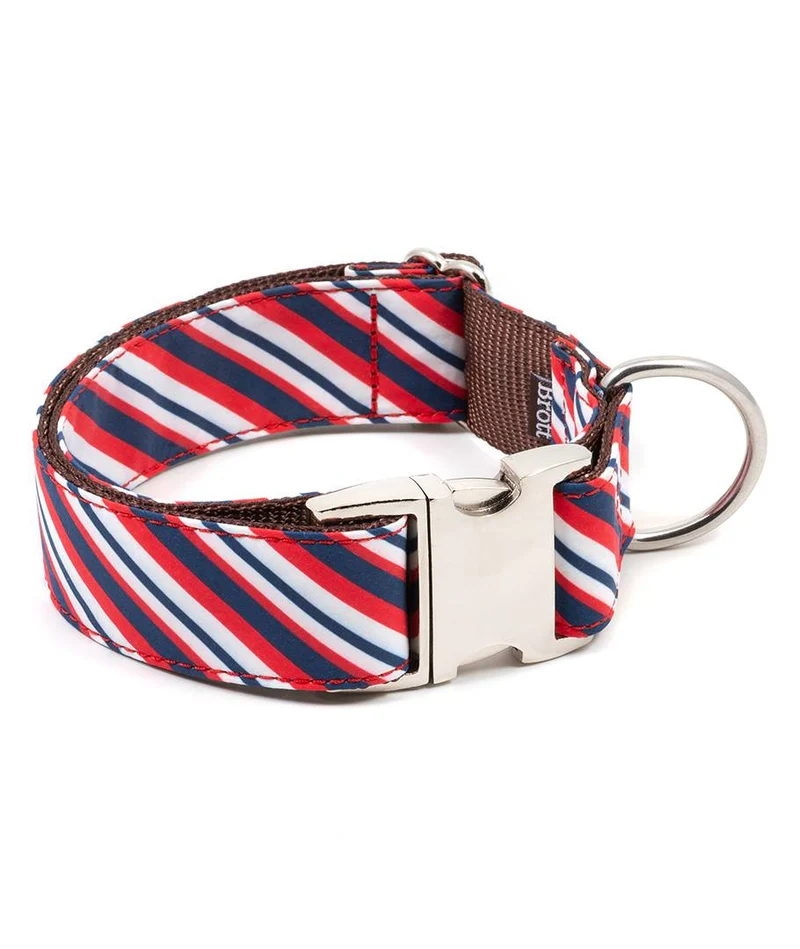 Collar para perro Calella