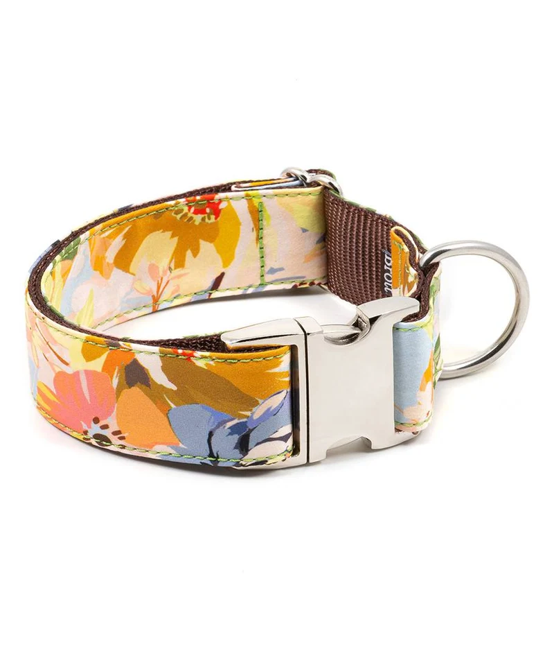 Collar para perro Vilanova
