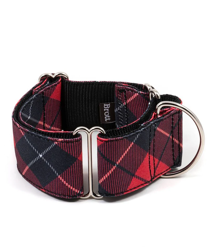 Collar para Galgo Bolvir