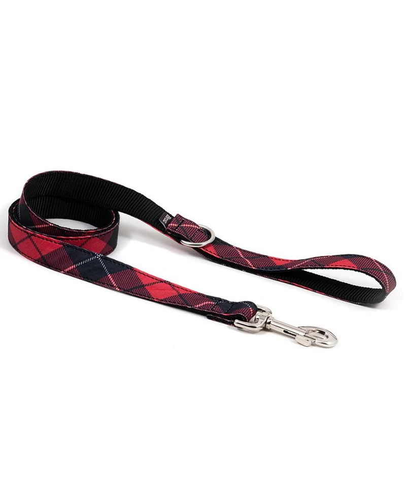 Correa para perro Bolvir