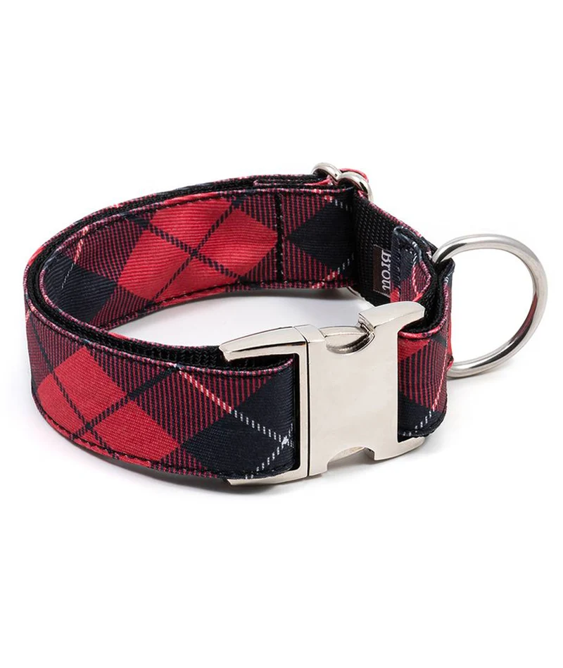 Collar para perro Bolvir