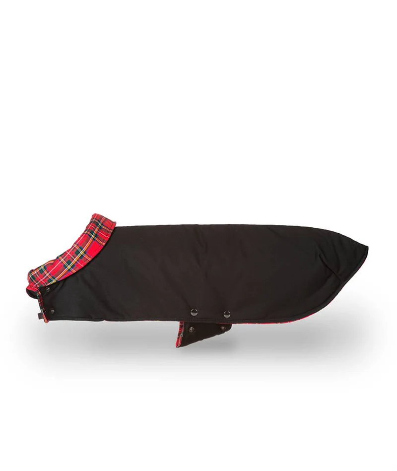 Abrigo para Galgo Black & Tremp