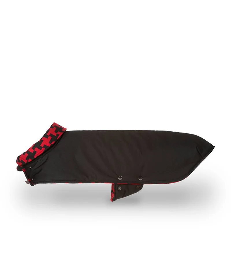 Abrigo para Galgo Black & Sort