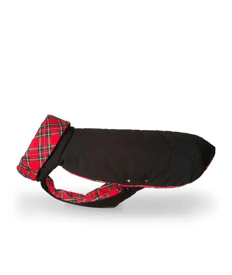 Abrigo de Invierno para Galgo Black & Tremp