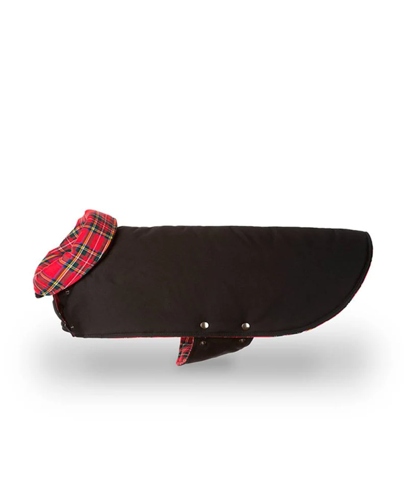 Abrigo para perro Black & Tremp