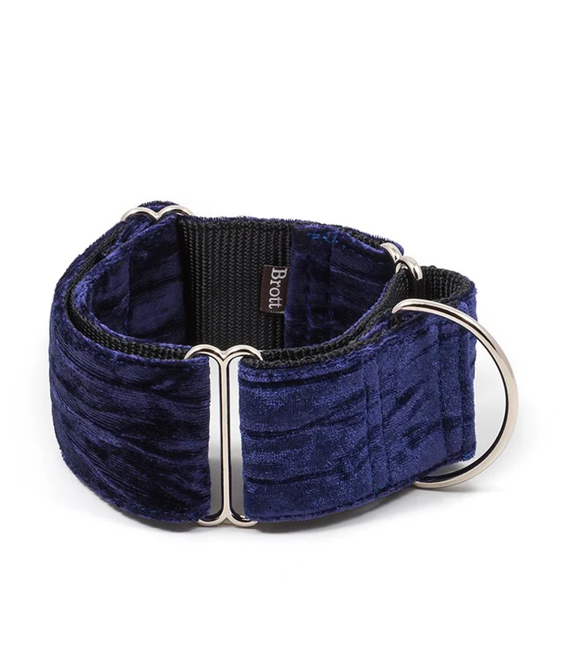 Collar para Galgo Buseu