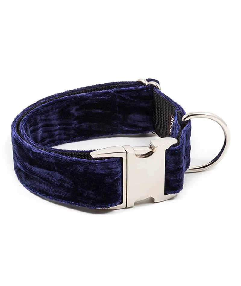 Collar para perro Buseu