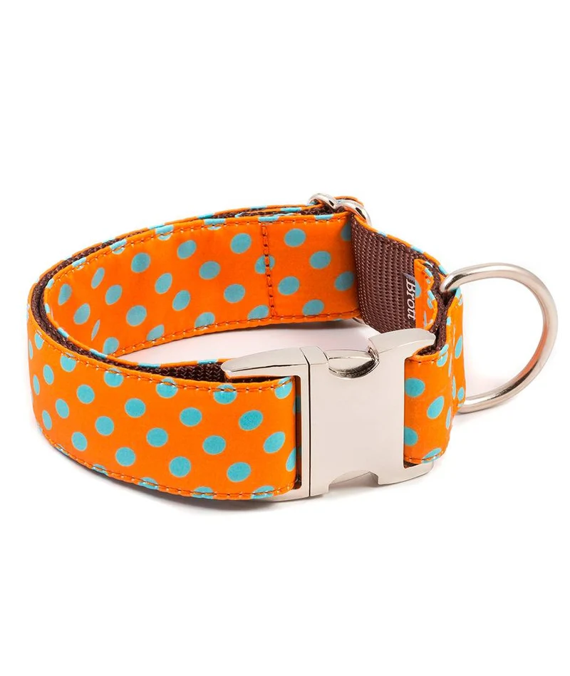 Collar para perro Pola