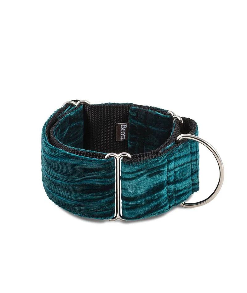 Collar para Galgo Verdu