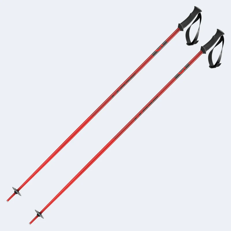 Scott 540 Pro Ski Poles
