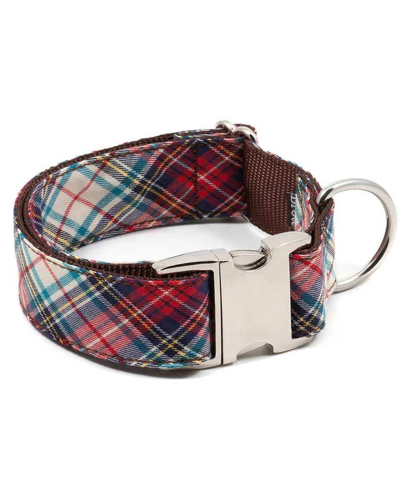 Collar para perro Bot