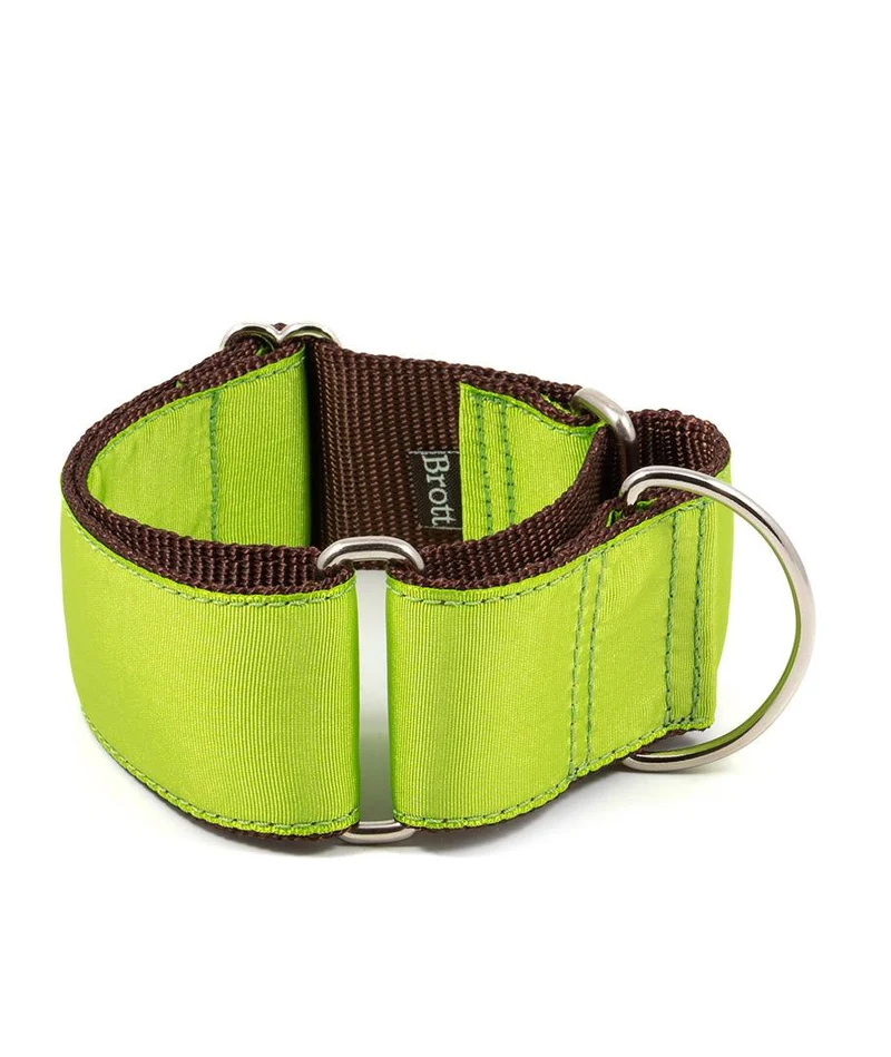 Collar para Galgo Solid Green