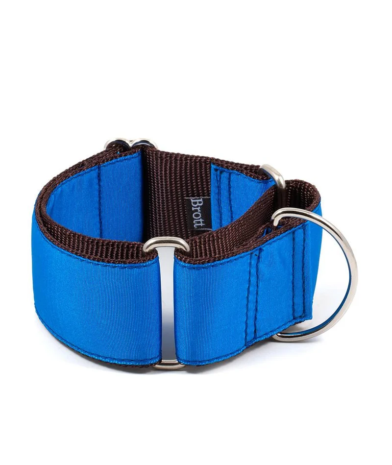 Collar para Galgo Solid Electric Blue