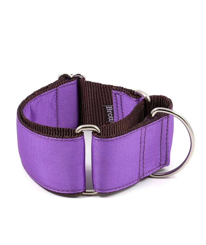 Collar para Galgo Solid Purple