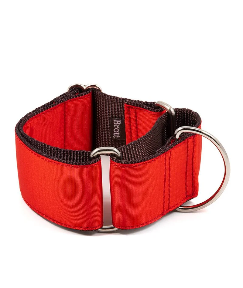 Collar para Galgo Solid Red
