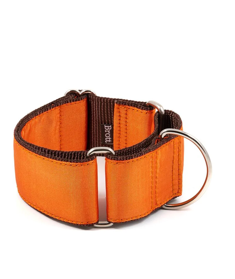 Collar para Galgo Solid Orange