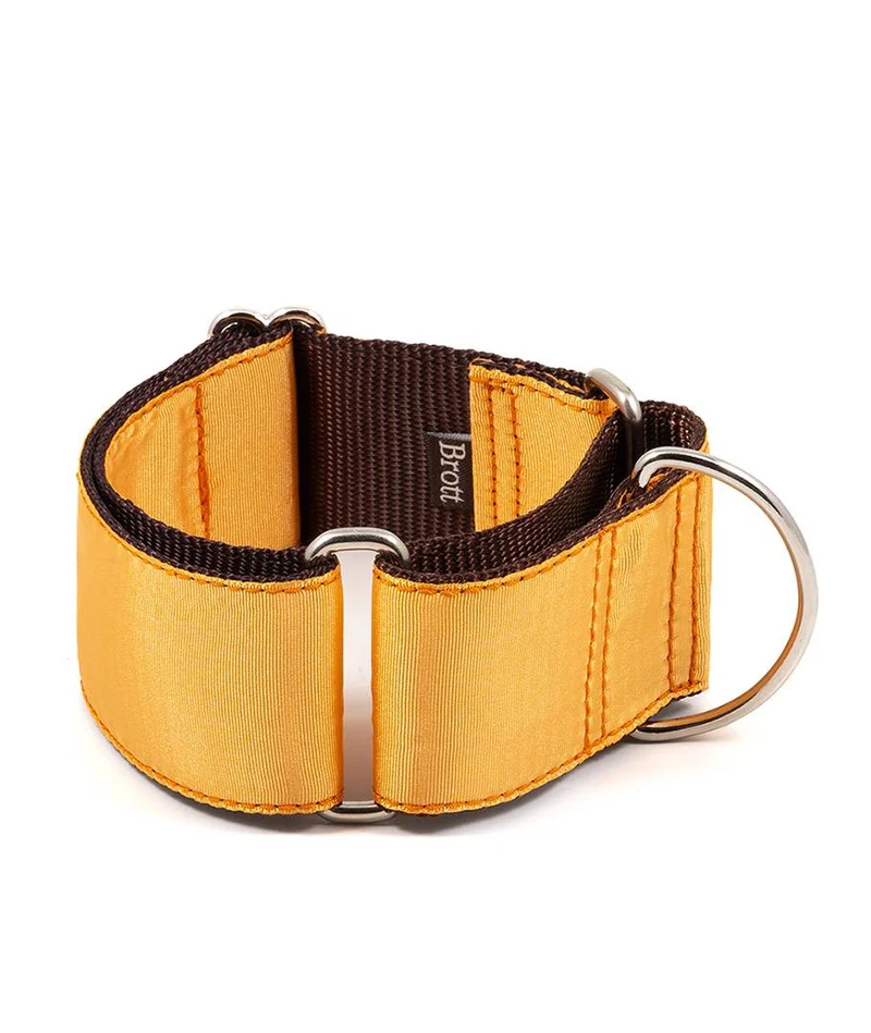 Collar para Galgo Solid Mandarin