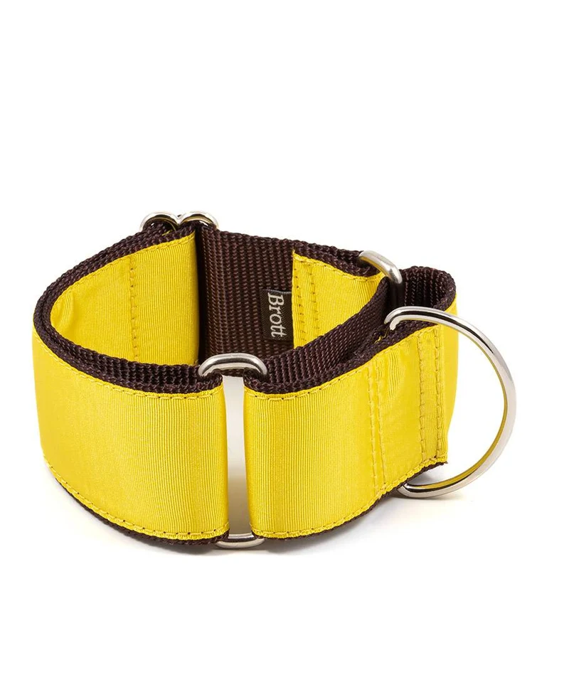 Collar para Galgo Solid Yellow