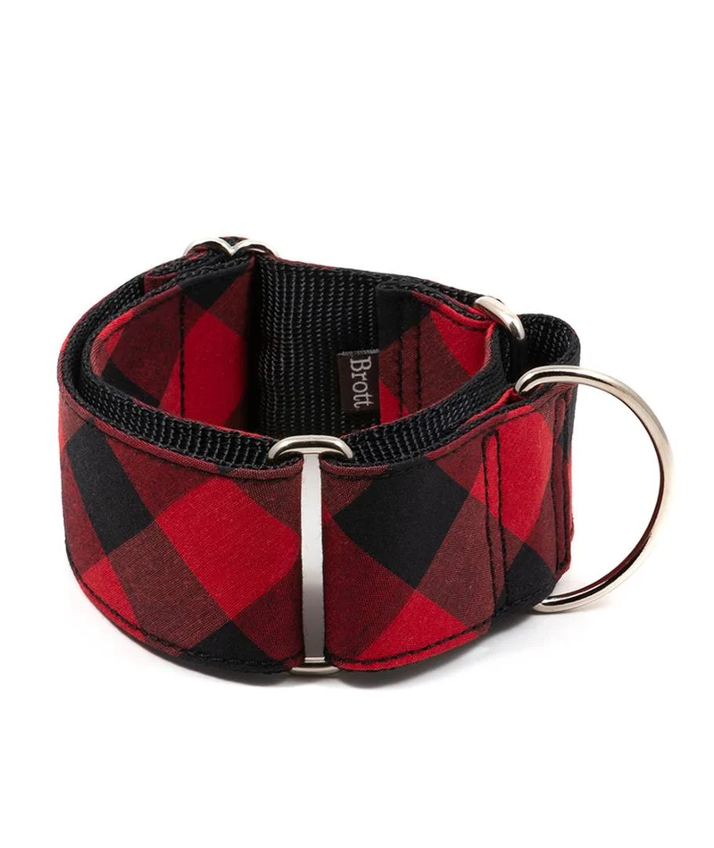 Collar para Galgo Bruc