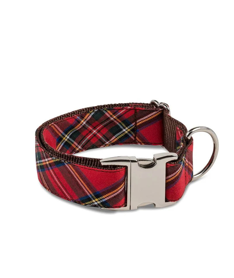 Collar para perro Tremp