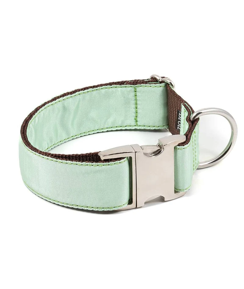 Collar para perro Solid Green Aqua