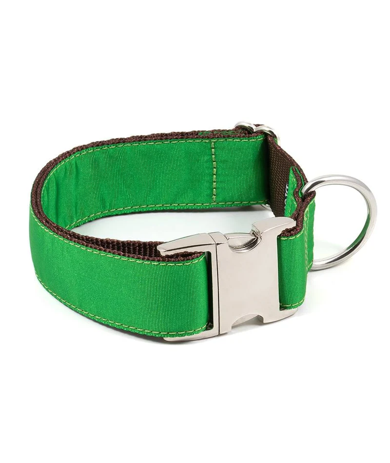 Collar para perro Solid Green Forest