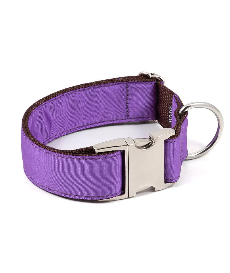 Collar para perro Solid Purple