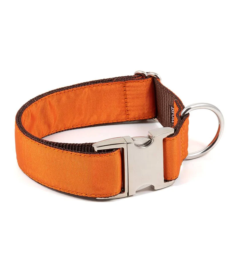 Collar para perro Solid Orange