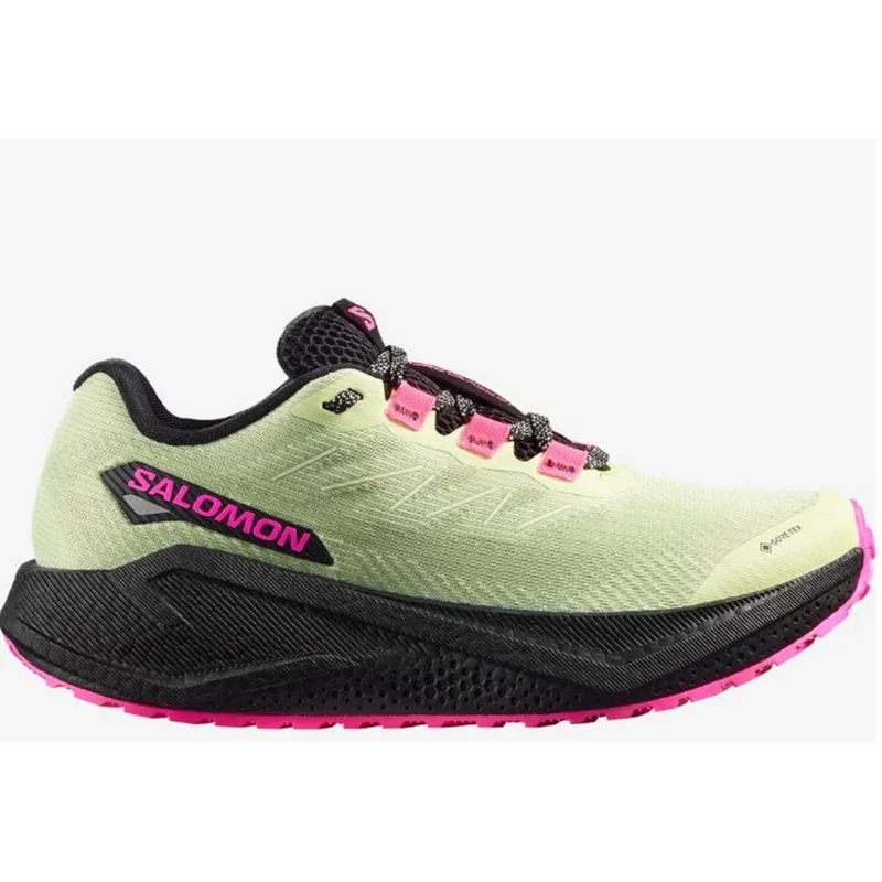 Salomon Aero Blaze 3 GRVL GTX Women butterfly black knockout pink