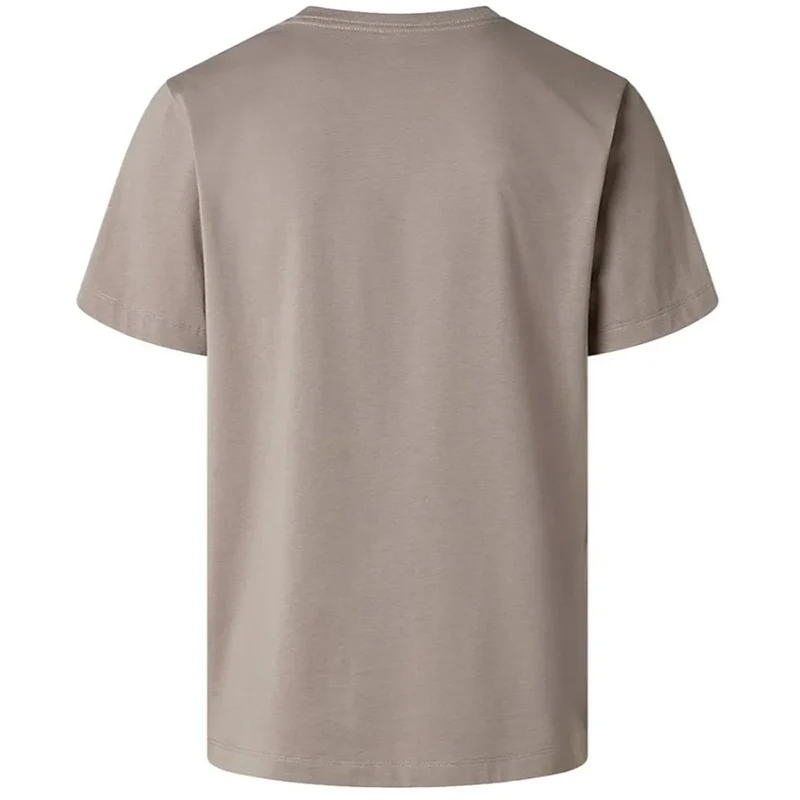 The North Face Evolution Simple Dome Regular SS Herren Tee stone slab