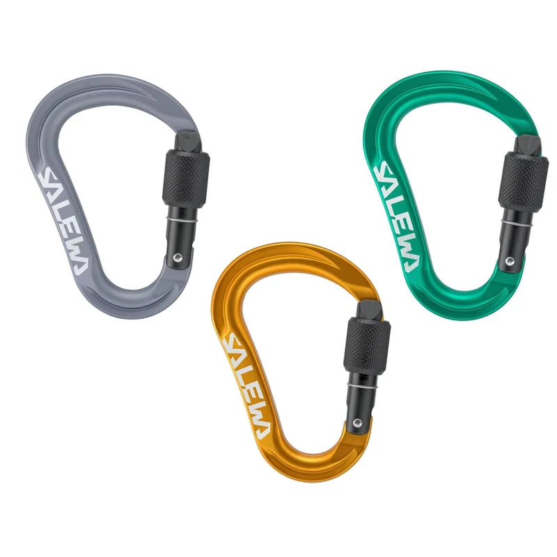Salewa Ortles HMS Karabiner S